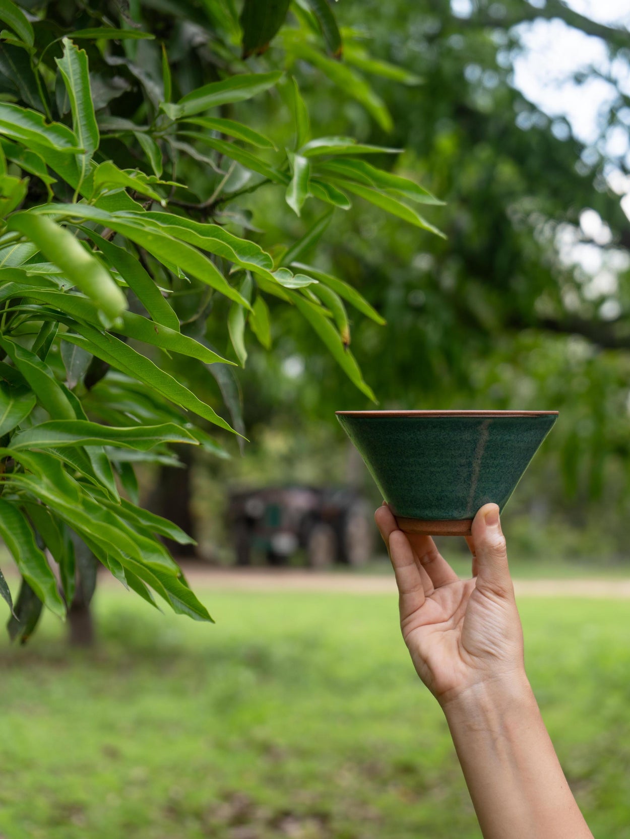 Mango Leaves Bowl